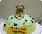 BC095---J